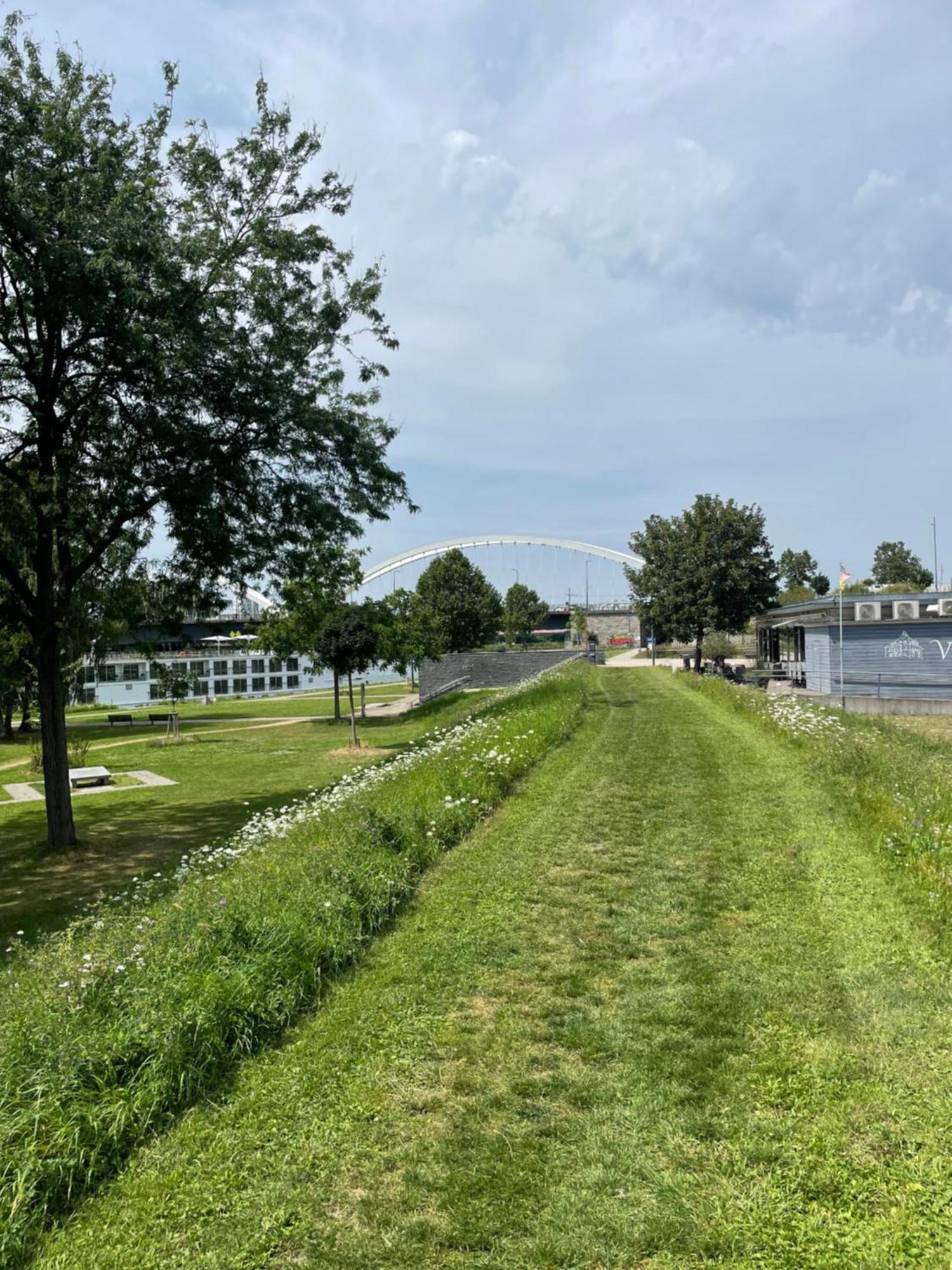 Luminous Apartment In Kehl Near Strasbourg, Conveniently Located Next To A Tram Stop With Direct Access To Strasbourg City Centre Bagian luar foto