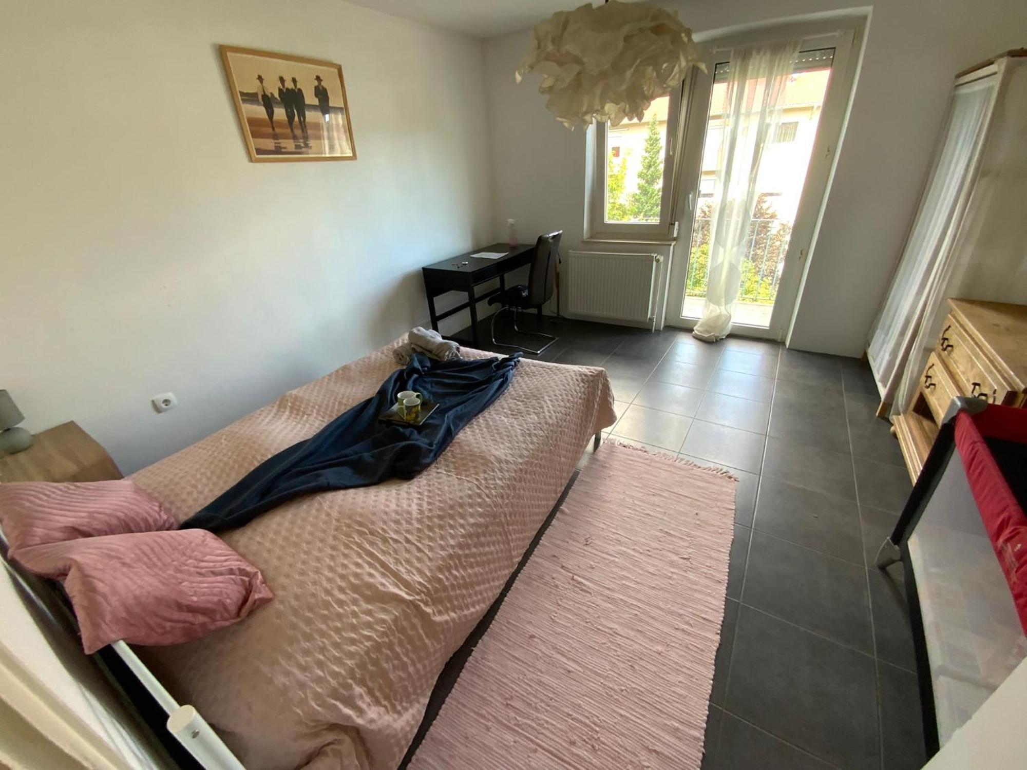 Luminous Apartment In Kehl Near Strasbourg, Conveniently Located Next To A Tram Stop With Direct Access To Strasbourg City Centre Bagian luar foto